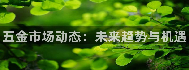 云顶集团游戏app8293