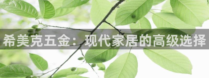 云顶集团有限公司简介图片