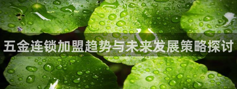 云顶国际平台游戏官网入口