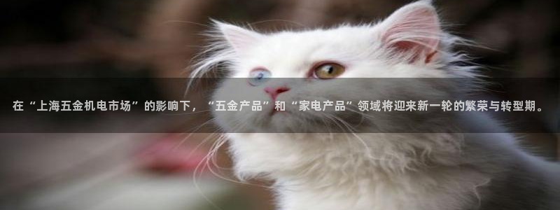 云顶国际app官网下载