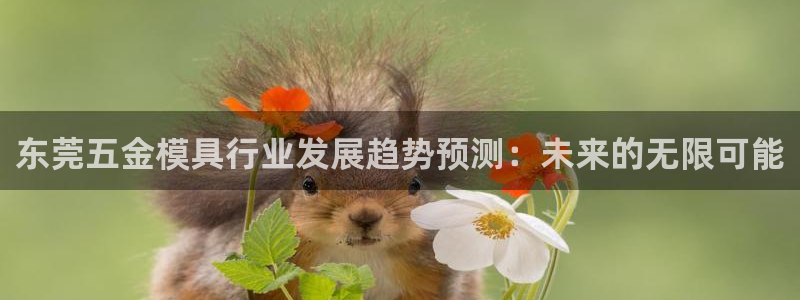 云顶中学国际部