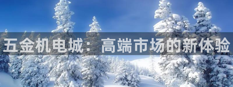 云顶国际平台游戏app