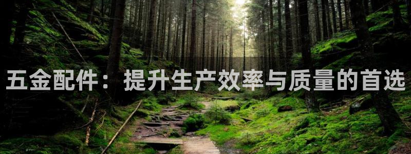 云顶国际高中学费多少钱