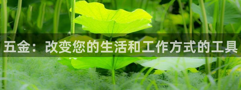 云顶国际公馆是公寓吗