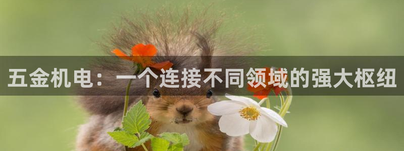 云顶国际投资有限公司招聘