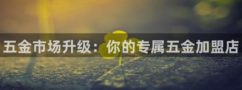 云顶国际物流官网网址