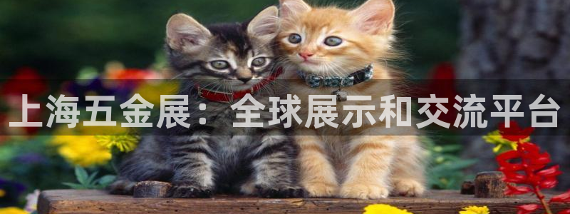 云顶国际集团发展有限公司国内项目总经理