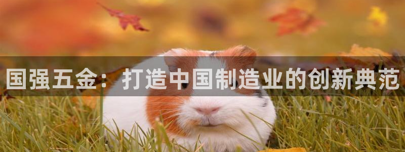 云顶国际商业广场 荣耀