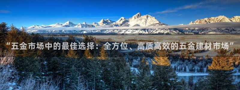 云顶国际在线购彩