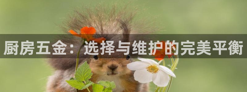 怎么下载云顶国际服