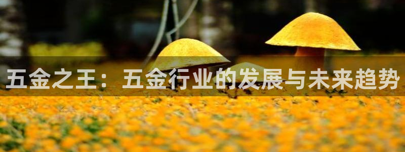 云顶国际服怎么下载