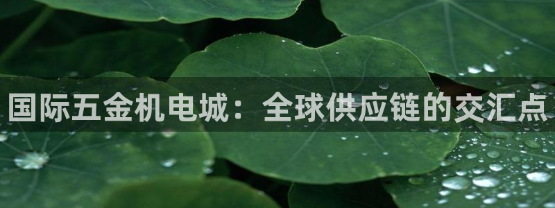 云顶集团rt电子游戏