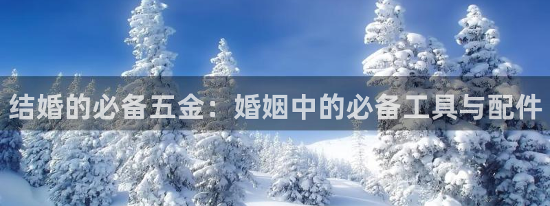 云顶国际集团发展有限公司国内项目总经理