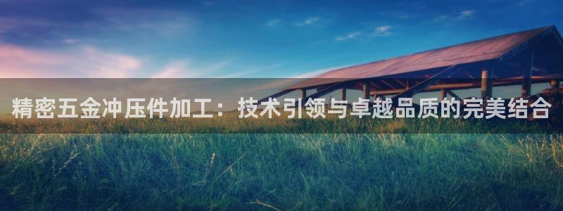 最新版云顶攻略