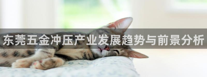 云顶国际真的能取出来吗?