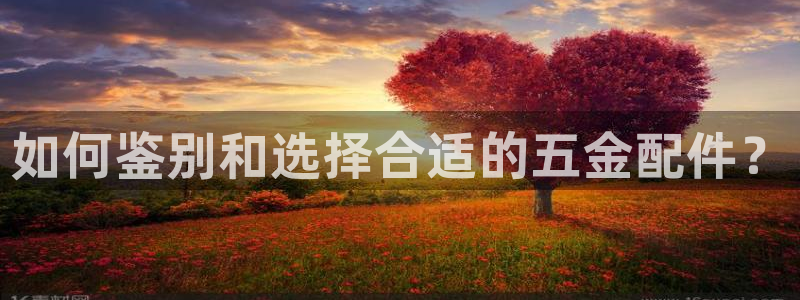 云顶国际集团官网