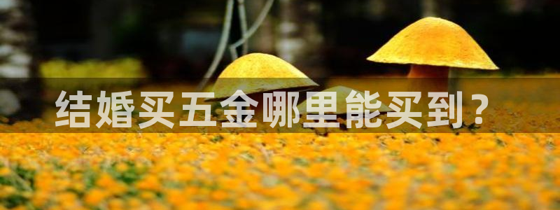 云顶集团官网电话客服