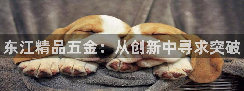 云顶国际商业广场A座101