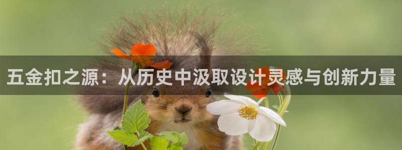 云顶国际服s9更新时间